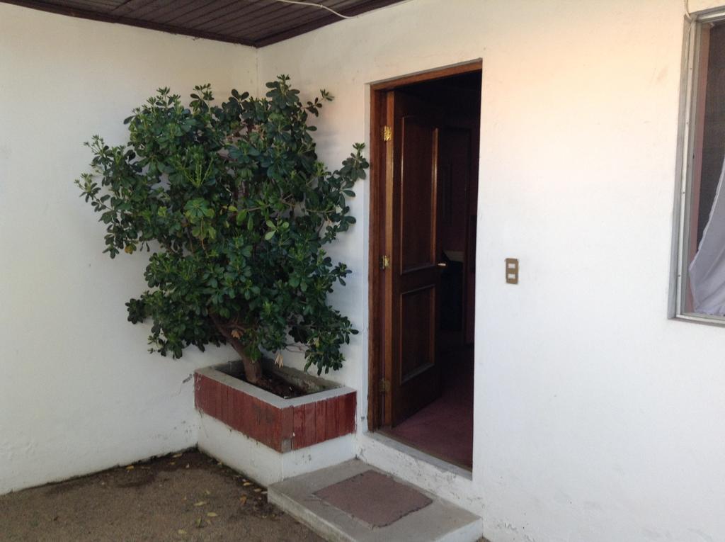 Hotel Alicante Chillán Exterior foto
